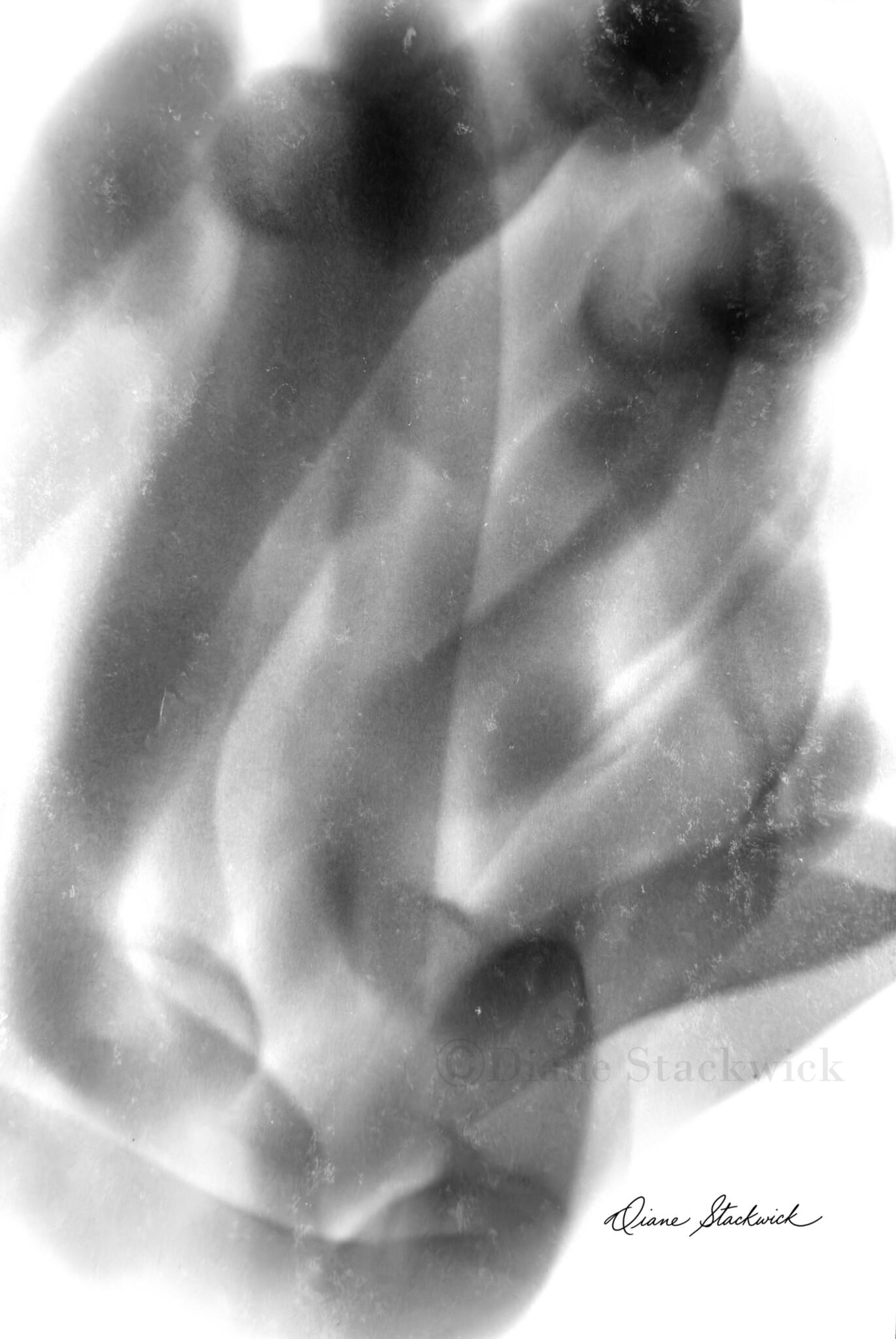 Black-and-white Spirit Image titled The Lovers by Diane Stackwick, featuring layered translucent forms and soft tonal patterns.